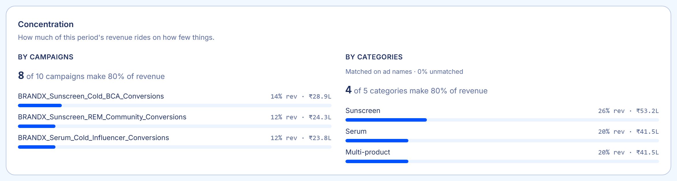 Sample account: a revenue concentration panel showing what share of revenue comes from the top campaigns and the top categories.
